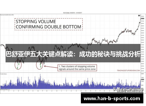 巴舒亚伊五大关键点解读：成功的秘诀与挑战分析