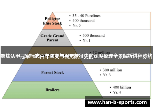 聚焦法甲冠军标志百年演变与视觉象征史的深度梳理全景解析进程脉络