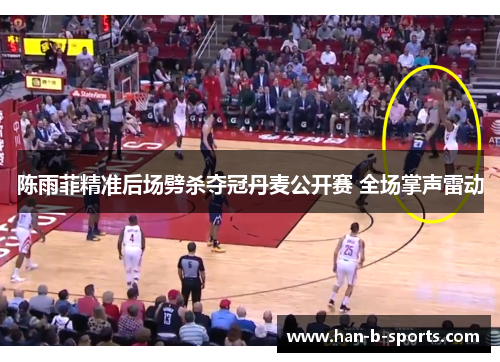 陈雨菲精准后场劈杀夺冠丹麦公开赛 全场掌声雷动 陈雨菲精准后场劈杀夺冠丹麦公开赛 全场掌声雷动