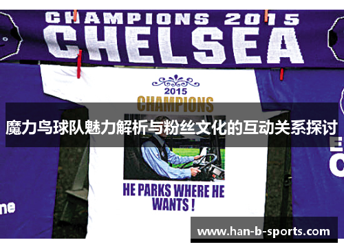 魔力鸟球队魅力解析与粉丝文化的互动关系探讨